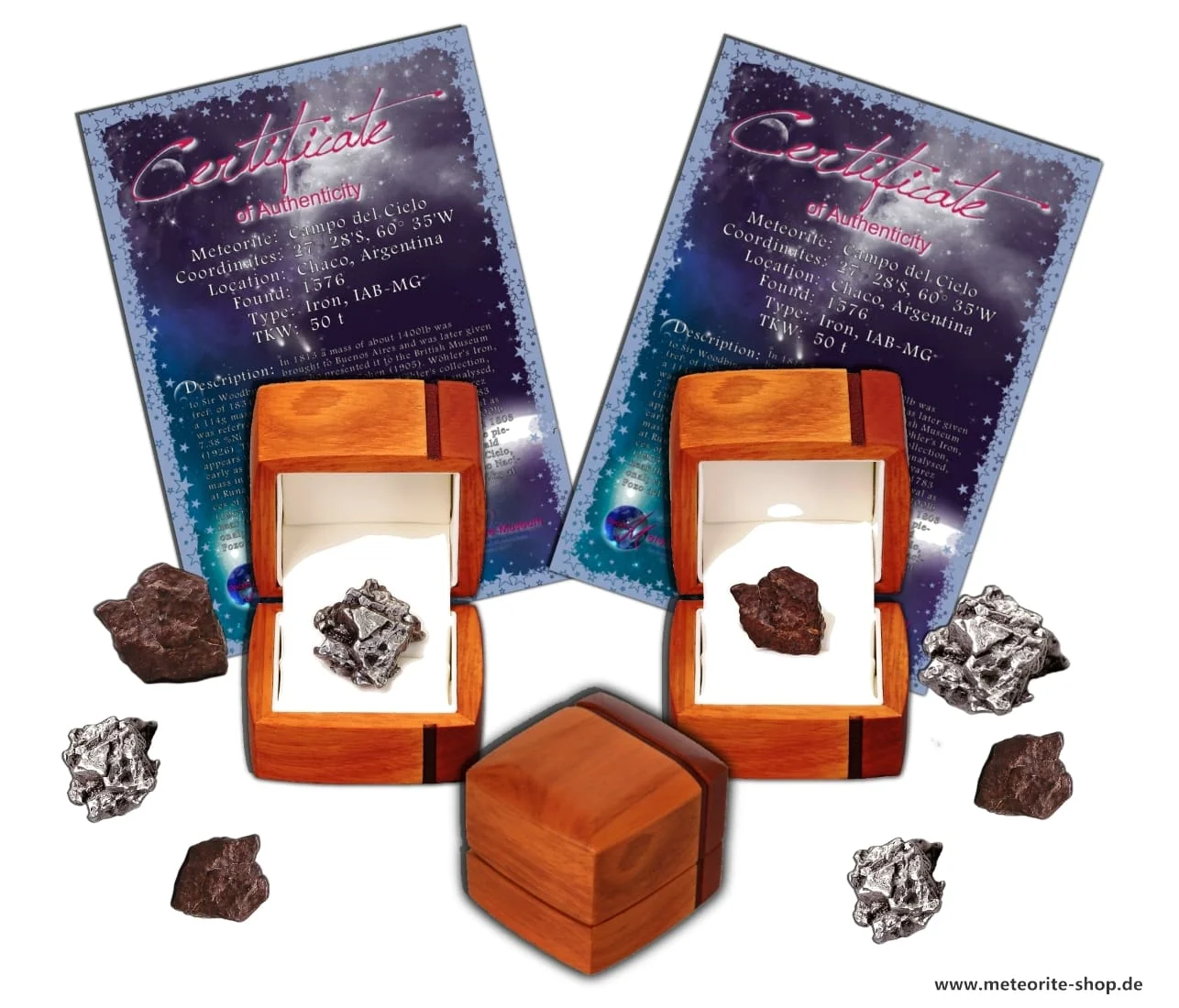 Buy Meteorite with Certificate