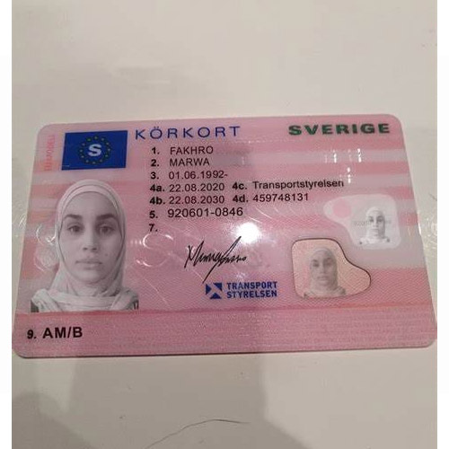 Swedish Driver’s License