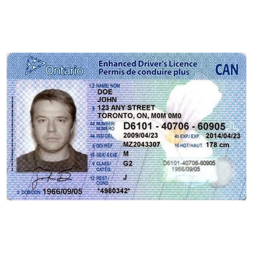Canadian Driver’s License