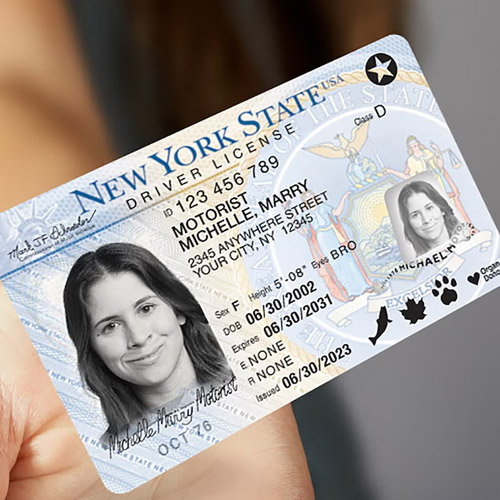 New York Driver’s License