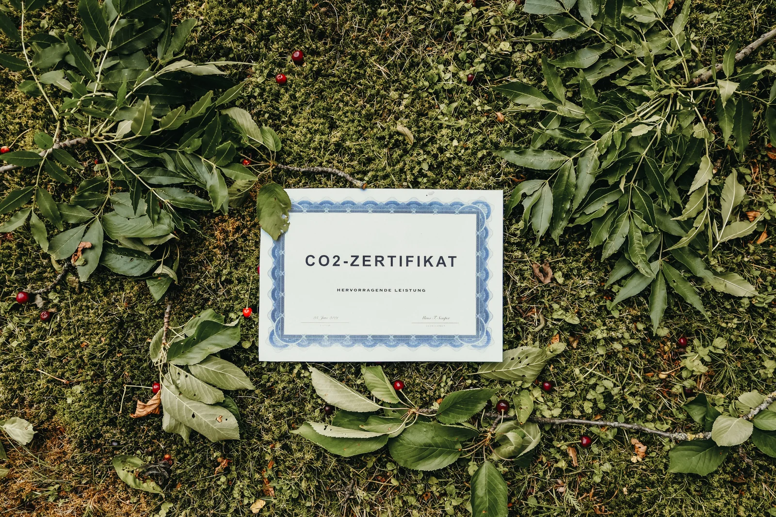 Buy CO2 certificates